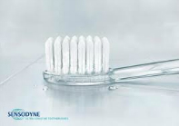 Toothbrush Toothbrush